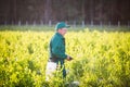 Ukraine, Kiev region June 2, 2017: Agricultural worker in green uniform spraying pesticides on blueberry fields