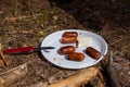 Ukraine, Kyiv, Lisovyi masyv- MAY 10, 2020 Little picnic with family. Small fried sausages and a slice of bread on a plastic plate