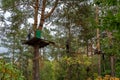 Ukraine, Kyiv-October 2022: Children play in the rope park among the forest. Child in the forest adventure park