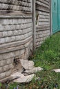 Ukraine, Motyzhyn - 04.25.2022: Burnt broken concrete fence.