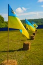 Ukraine national flag