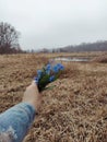 Ukraine nature flowers lake