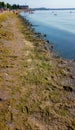 Eutrophication of the Black Sea, rotting macrophyte algae near the shore, pollution of beaches