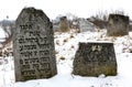 11.23.2014. Ukraine. An old Jewish cemetery. Ancient tombstones with inscriptions in Yiddish sticking out of the earth. Royalty Free Stock Photo