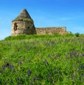 Pidhiryan Monastery, The ruins of one of the towers beginning of the 18th c. Ukraine, Podgora village, Ternopil region, Terebovlya