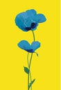 Poppy for ukraine in blue and yellow Royalty Free Stock Photo