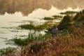 Ukraine, River Desna -September 7, 2019: A man fishes on the river bank on an early foggy morning Royalty Free Stock Photo