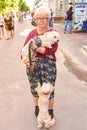 Ukraine, Shostka -June 01, 2019: Elderly woman holding a poodle in her arms on a city street