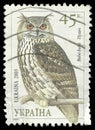 Eurasian Eagle owl