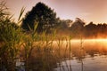 Ukraine in summer with some beautiful mists at the lake