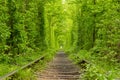 Ukraine. Tunnel of Love Royalty Free Stock Photo