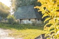 Ukraine village rural house garden park outdoor nature space morning sun rise time with glare rays