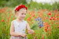 Ukrainian Beautiful girl in vyshivanka with wreath of flowers in a field of poppies and wheat. outdoor portrait in poppies. girl Royalty Free Stock Photo