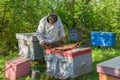 Ukrainian bee-keeper at work Royalty Free Stock Photo