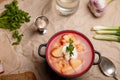 Ukrainian borscht served with sour cream, greenery, rye bread, garlic and vodka or hooch alcohol drink shot. National cuisine Royalty Free Stock Photo