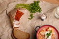 Ukrainian borscht served with sour cream, greenery, rye bread, garlic and vodka or hootch alcohol drink shot. National cuisine Royalty Free Stock Photo