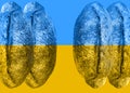 Ukrainian bread on blue and yellow flag background. Loaves on wheat bread on abstrackt Ukrainian background. Russia