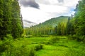 Ukrainian Carpathian Mountains 32