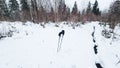 Winter forest with trees in the snow in the Ukrainian Carpathians