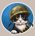 Ukrainian cat in a helmet and with cartridges, with blue-yellow eyes on a blurred backgroun Royalty Free Stock Photo
