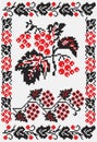 Ukrainian embroider snowballtree Royalty Free Stock Photo