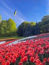 Ukrainian flag against blue sky and a flower meadow on Spivoche Pole. Kyiv, Ukraine Royalty Free Stock Photo