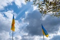 Ukrainian flags with a cloudy sky in the background Royalty Free Stock Photo