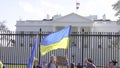 Ukrainian Flags Outside The White House