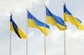 Ukrainian flags in the wind on blue sky background.
