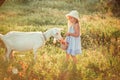 Ukrainian girl on a farm feeds a goat. Cute little girl with long blonde hair at sunny sunset spends time with a pet. Cute baby 6 Royalty Free Stock Photo