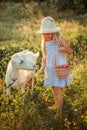 Ukrainian girl on a farm feeds a goat. Cute little girl with long blonde hair at sunny sunset spends time with a pet. Cute baby 6 Royalty Free Stock Photo