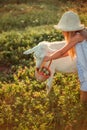 Ukrainian girl on a farm feeds a goat. Cute little girl with long blonde hair at sunny sunset spends time with a pet. Cute baby 6 Royalty Free Stock Photo