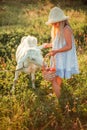 Ukrainian girl on a farm feeds a goat. Cute little girl with long blonde hair at sunny sunset spends time with a pet. Cute baby 6 Royalty Free Stock Photo