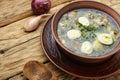 Ukrainian green borsch Royalty Free Stock Photo