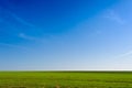 Ukrainian Green Field of wheat, blue sky and sun, white clouds. wonderland. The unripe green wheat field under summer Royalty Free Stock Photo