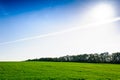 Ukrainian Green Field of wheat, blue sky and sun, white clouds. wonderland. The unripe green wheat field under summer Royalty Free Stock Photo