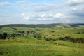 Ukrainian green plains