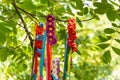 Ukrainian hairbands hanging tree summer decoration landscape Royalty Free Stock Photo