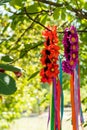 Ukrainian hairbands hanging tree vertical summer portrait Royalty Free Stock Photo