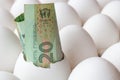 Ukrainian hryvnia banknote in empty egg shell among whole white chicken eggs in cardboard tray closeup