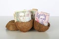 Ukrainian hryvnia inside coconut shell