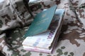 Ukrainian military ID and hryvnia on military uniform