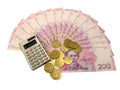Ukrainian money Royalty Free Stock Photo