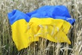 Ukrainian national blue and yellow colors flag lying in wheat field.military russian invasion.Ukraines Independence,Flag