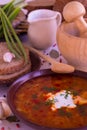 Ukrainian national dish vegetable soup - borsch Royalty Free Stock Photo