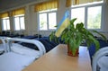 Ukrainian national flag put in a potted plant, well-made beds in the bedroom of the barrack for soldiers, nobody