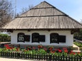 Ukrainian old white house with a wooden roof. House with tulips. Royalty Free Stock Photo