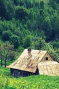 Rural house in woods Royalty Free Stock Photo