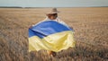 Ukrainian patriot woman running with national flag in wheat field. Beautiful girl in embroidered ethnic traditional Royalty Free Stock Photo