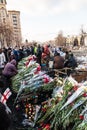 Ukrainian revolution, Euromaidan after an attack by government f